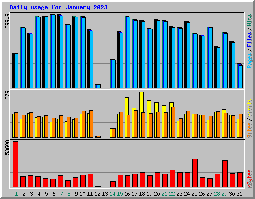 Daily usage for January 2023