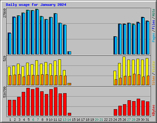 Daily usage for January 2024