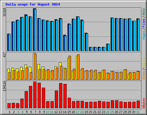 Daily usage for August 2024