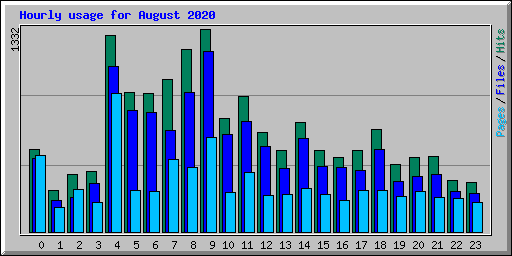 Hourly usage for August 2020