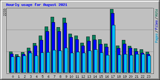 Hourly usage for August 2021