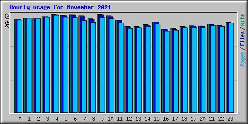 Hourly usage for November 2021