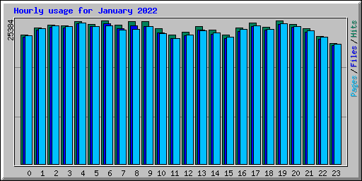 Hourly usage for January 2022