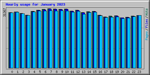 Hourly usage for January 2023