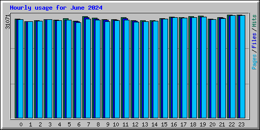 Hourly usage for June 2024