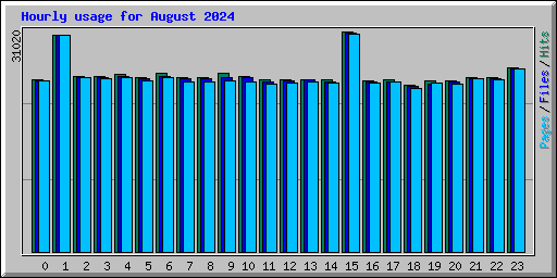 Hourly usage for August 2024