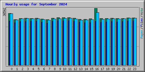 Hourly usage for September 2024