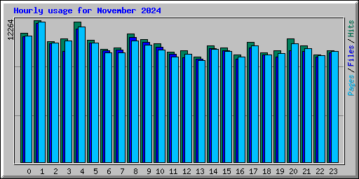 Hourly usage for November 2024