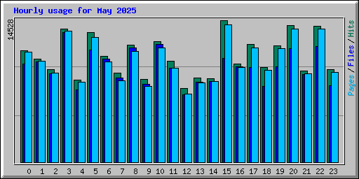Hourly usage for May 2025