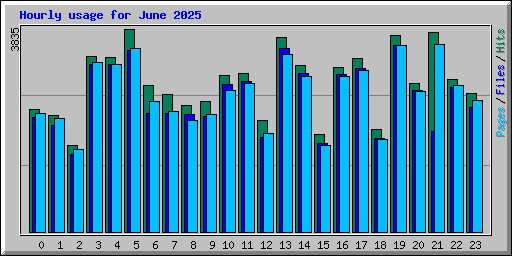 Hourly usage for June 2025