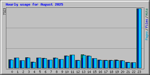 Hourly usage for August 2025