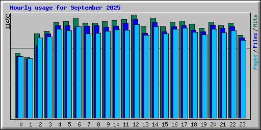 Hourly usage for September 2025