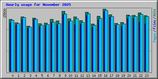 Hourly usage for November 2025