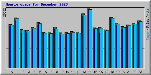 Hourly usage for December 2025